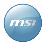 Ремонт MSI
